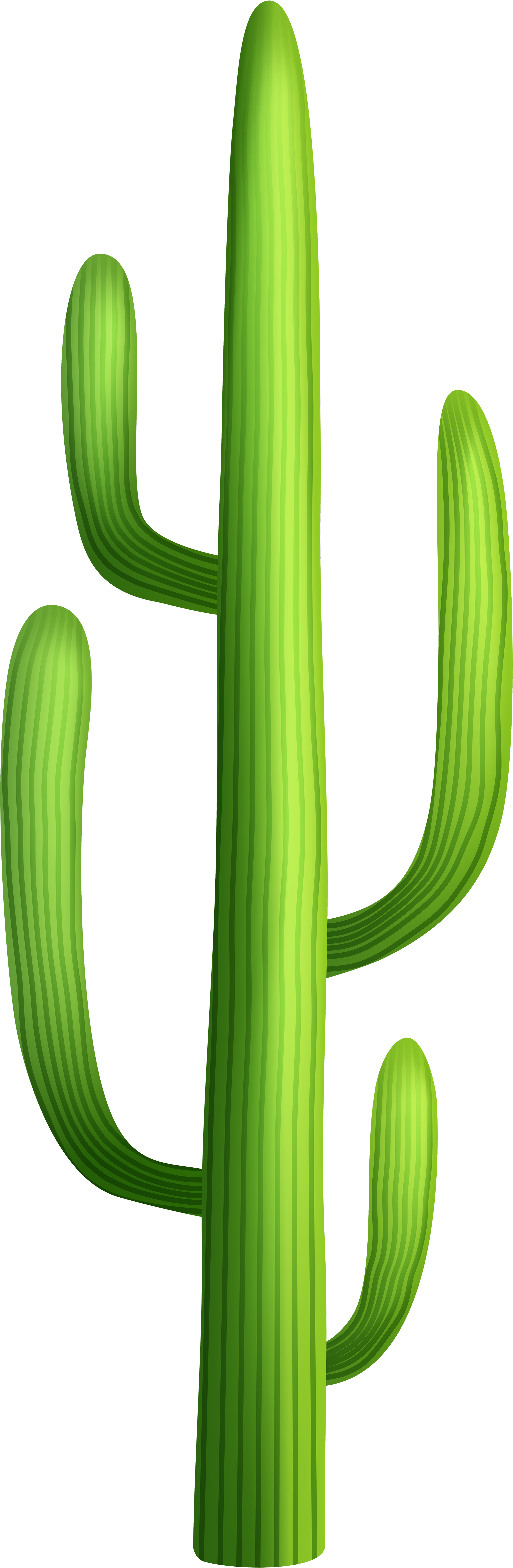 Desert Cactus Transparent Png Clip Art Image - Desert Trees Clip Art (2821x8000)