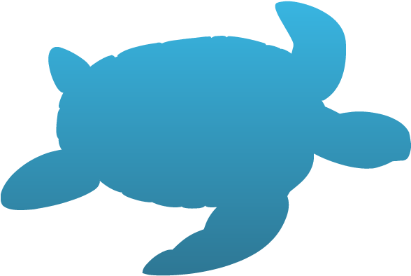 Sea Turtle Temporary Tattoo - Sea Turtle Decal (587x543)