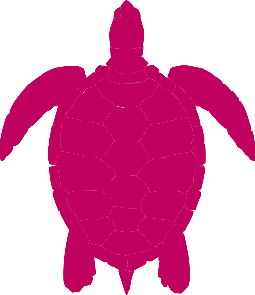 Pink Sea Turtle Clip Art At Clker - Sea Turtle Clip Art (516x597)