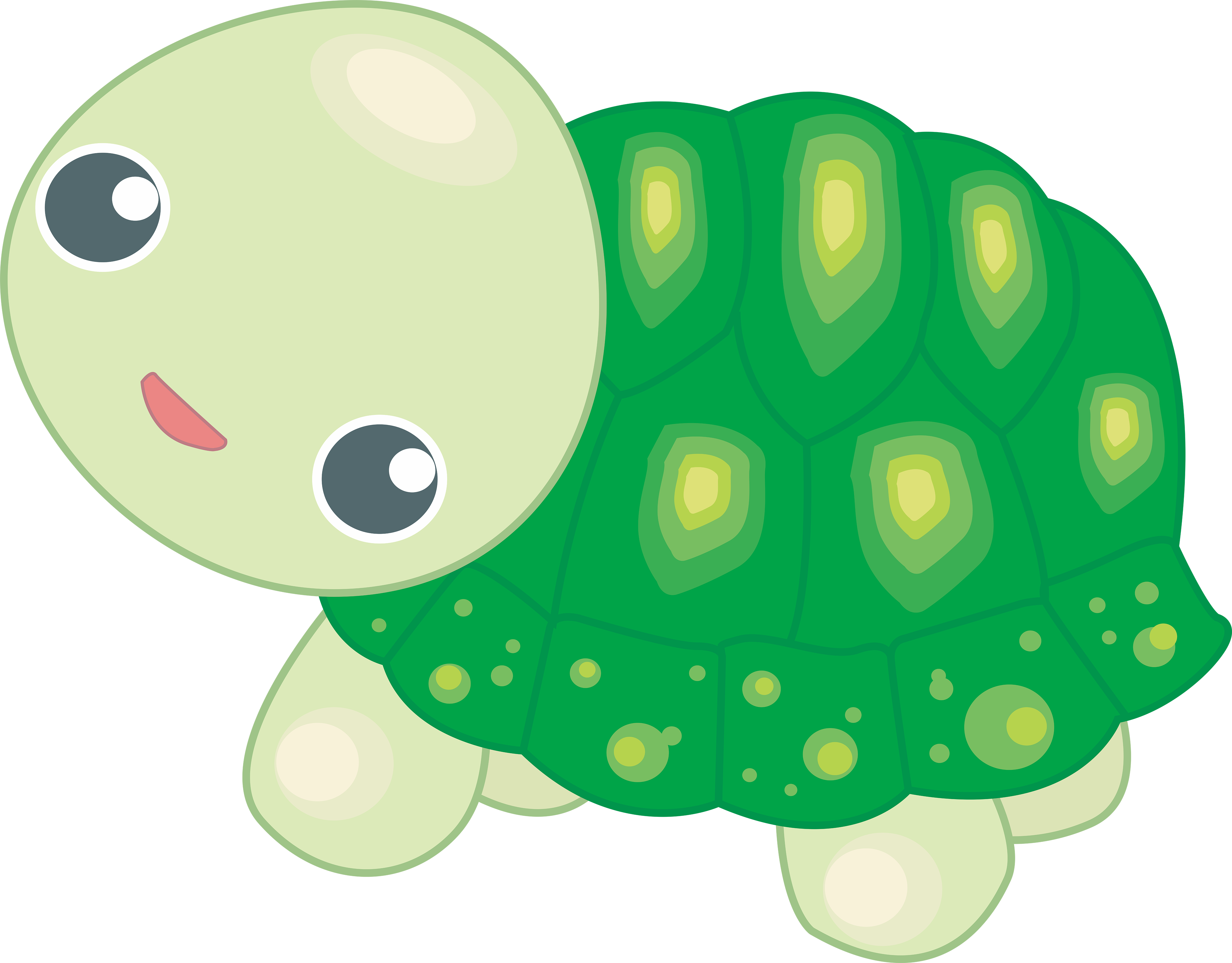 Turtle Frog Clip Art - Turtle Frog Clip Art (5000x3906)