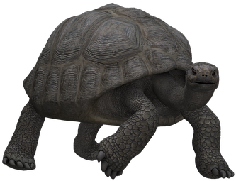 Turtle Panzer Animal Mammal Digital Art Is - , Slow Panzer Feasted Large Tote Bag, Adult Unisex, (453x340)