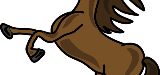 36 Facts About Horse - Write Here Journals: Horse Journal Edition Custom Journal (520x245)