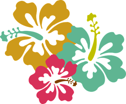 Flower Hibiscus Pink Yellow Blue Fresh Tou - Hawaii Flower (411x340)