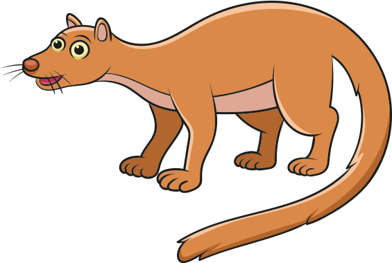 Clipart Fossa Hayvanı - Fossa (624x470)