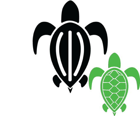 Ocean Habitat Sponsor - Green Sea Turtle (475x394)