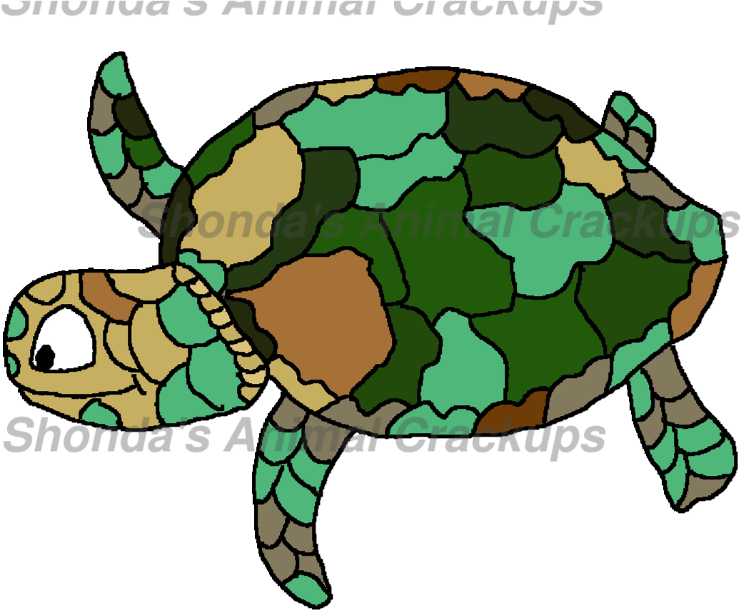 Sr Seaturtle - Sea Turtle (1093x876)