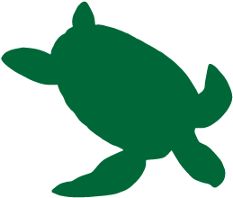 Sea Turtle Vector Silhouette (750x399)