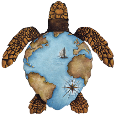The Sea Turtles Center - Tortue Aquarium La Rochelle (367x366)
