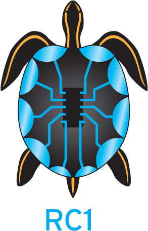 Electric Rc1 - Kemp's Ridley Sea Turtle (309x475)