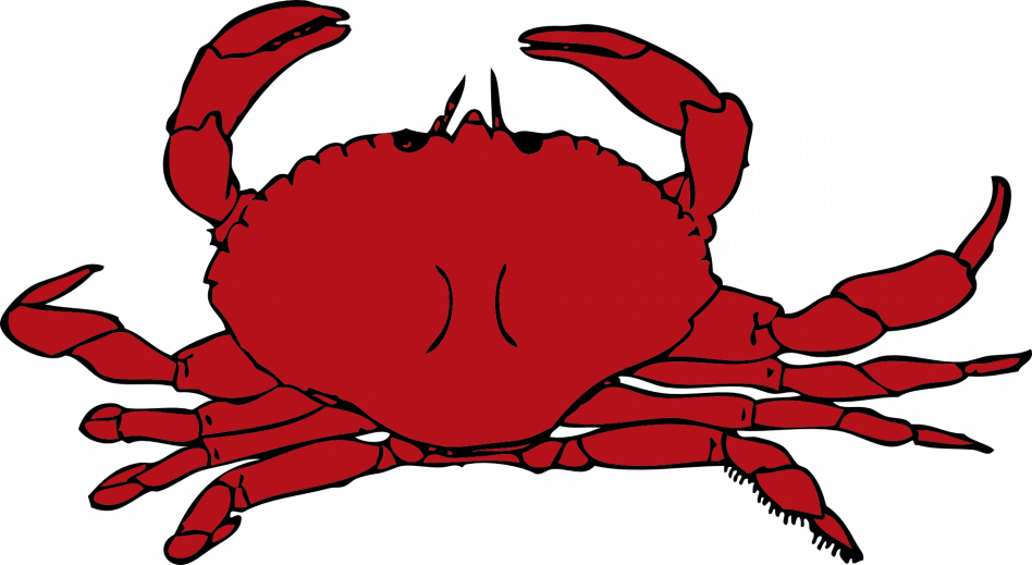 Crab Clipart Small Fish Pencil And In Color Crab Pin - Clipart Of Crab (948x519)