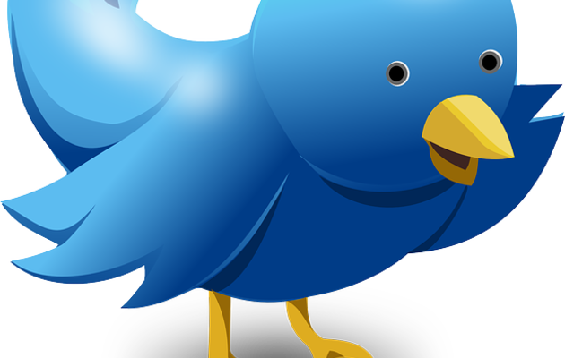 Twitter News - Twitter Tweet Bird Funny Cute Blue Messaging Mugs (630x400)