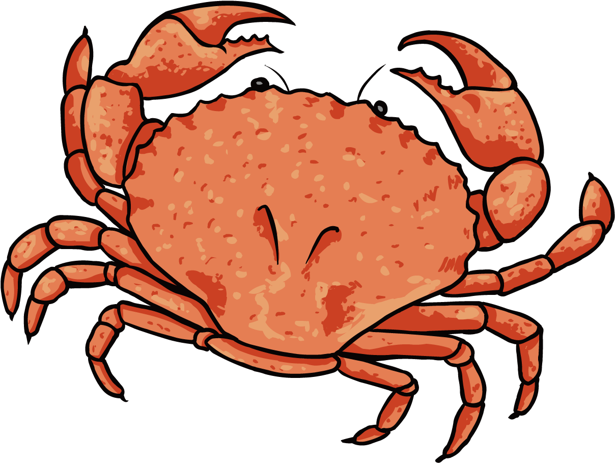 Dungeness Crab Lobster Clip Art - 螃蟹 卡通 (1276x1276)