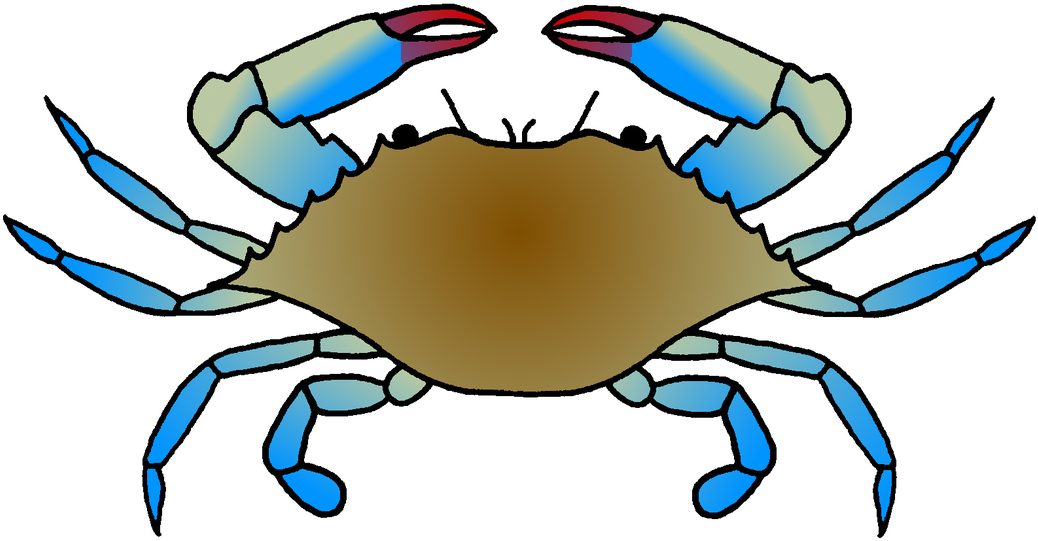 Picture - Blue Crab Clip Art (1100x639)