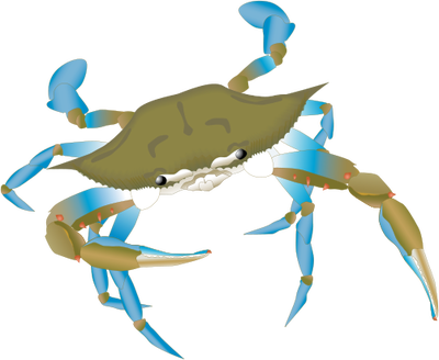 Clipart Info - Blue Crab Vector Png (400x328)