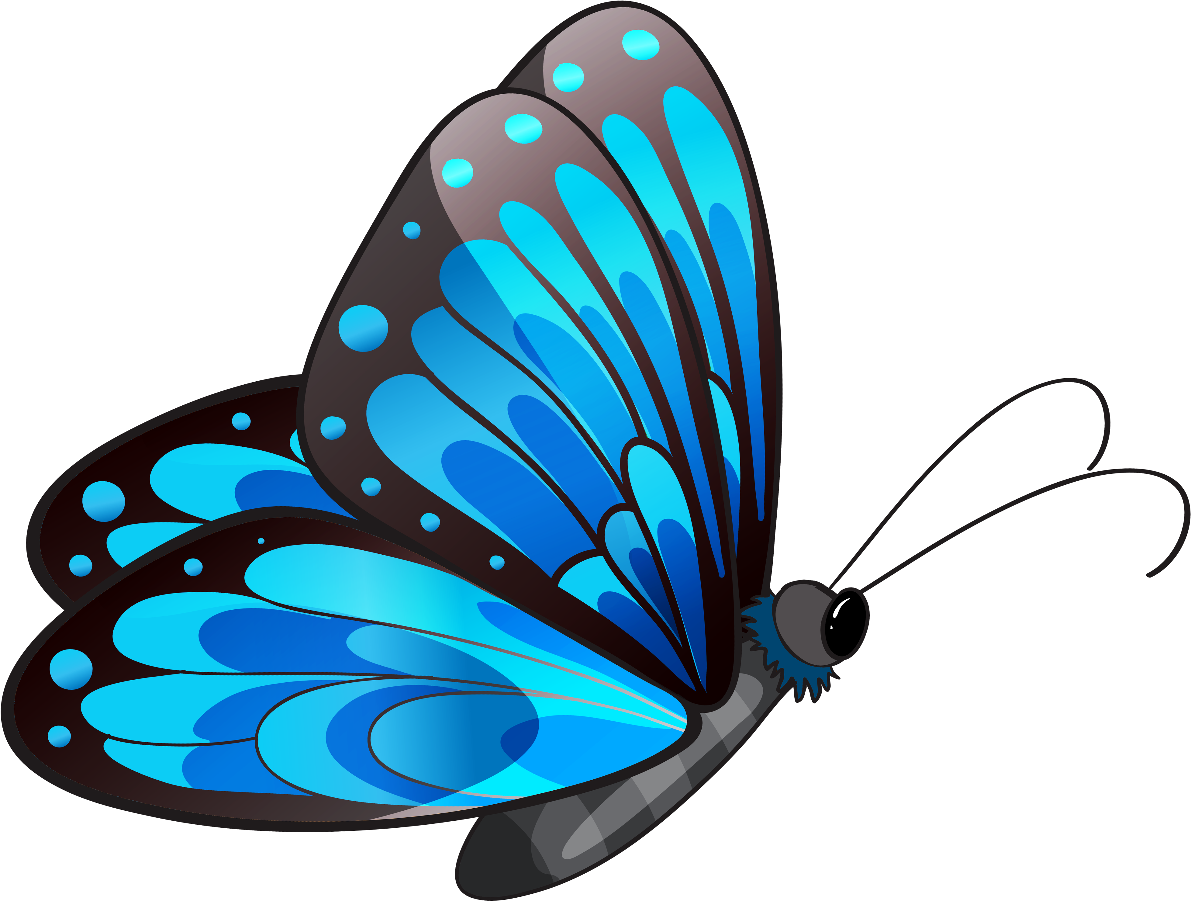 Transparent Blue Butterfly Png Clipart - Flying Butterfly Clip Art (4155x3205)