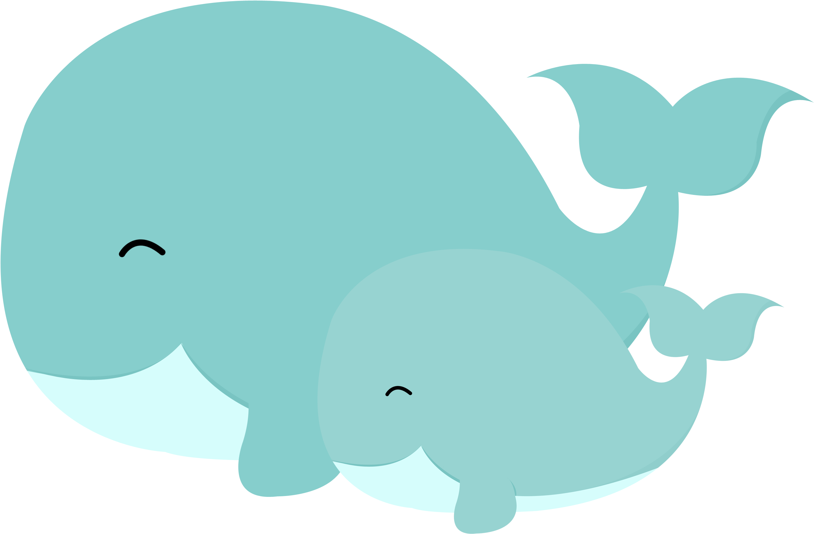 Whale Clipart Face - Marine Life Clipart Baby (3156x2370)