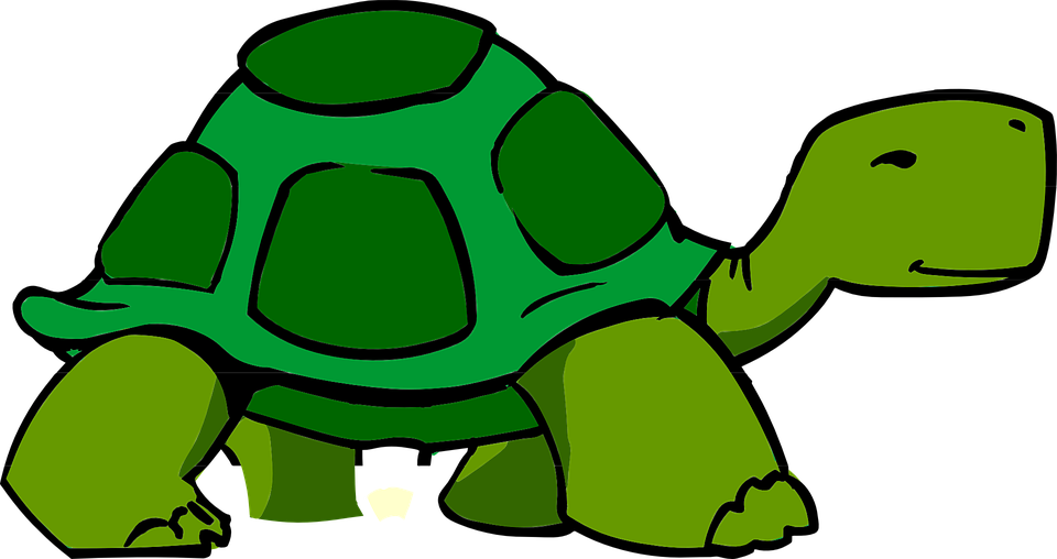 Turtoise Clipart Kura Kura Animated Turtle 960x508 Png Clipart Download