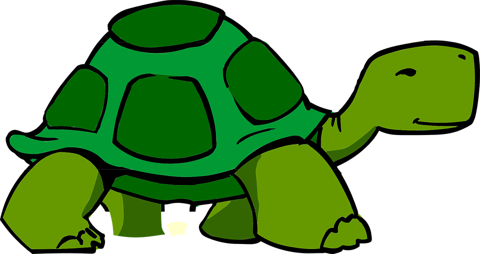 Turtoise Clipart Kura Kura - Animated Turtle (960x508)