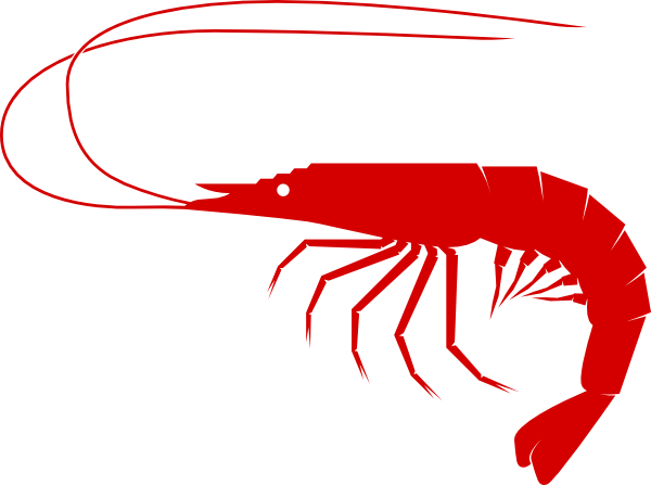 Sea Food Clip Art (1006x750)
