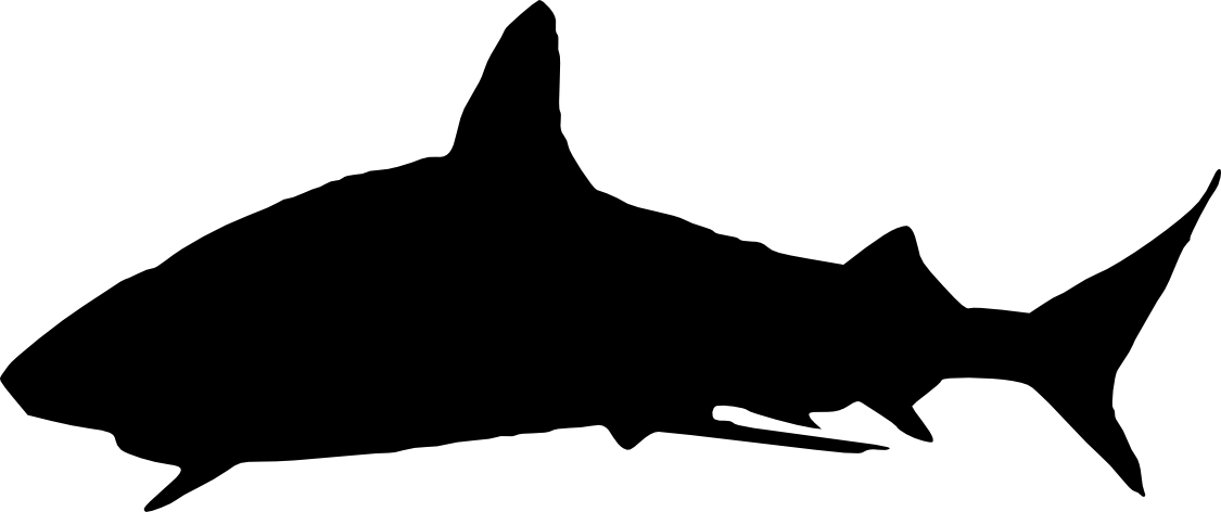 6 Shark Silhouette - Shark Silhouette Png (1125x472)