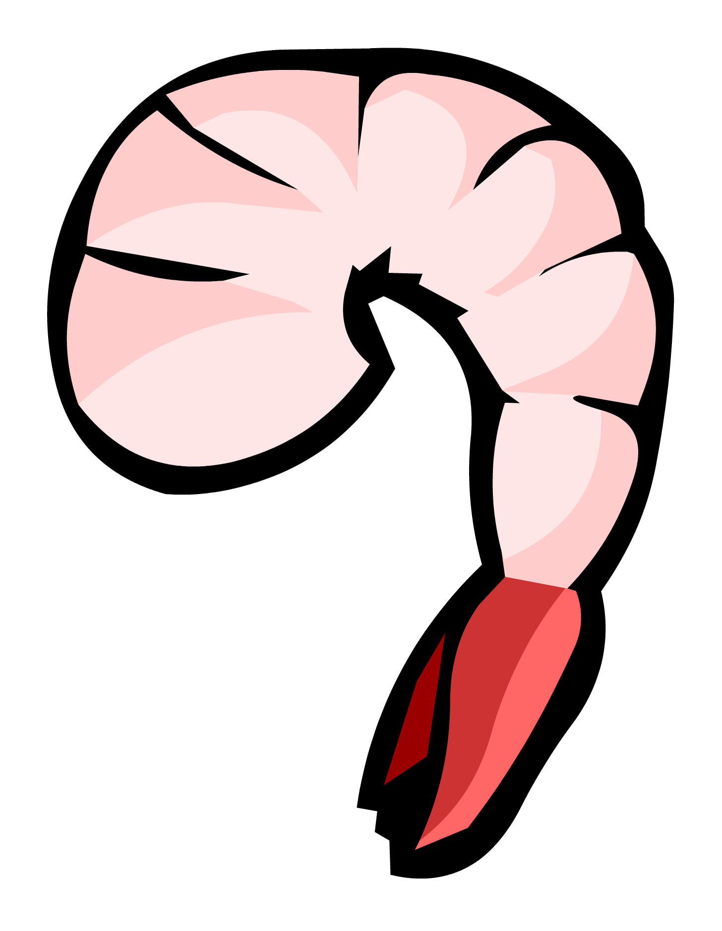 Caridea Fettuccine Alfredo Shrimp Animation - Caridea Fettuccine Alfredo Shrimp Animation (1456x1877)