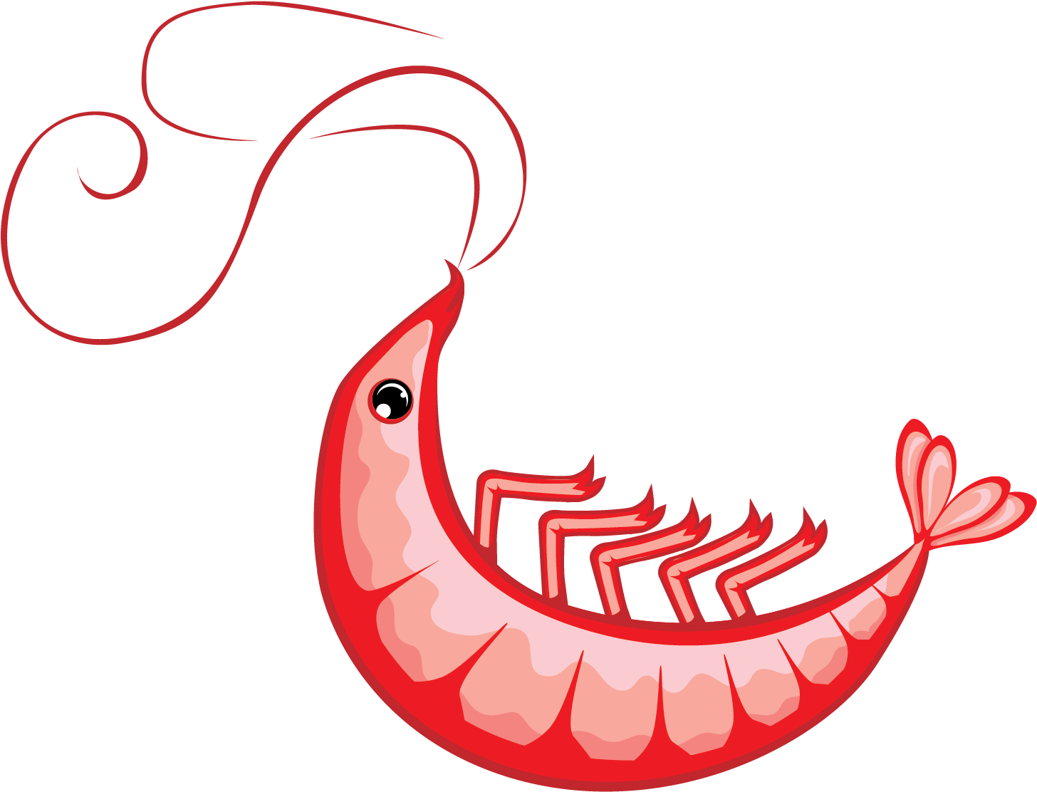 Shrimp Vector Clip Art - Clip Art (1848x1427)