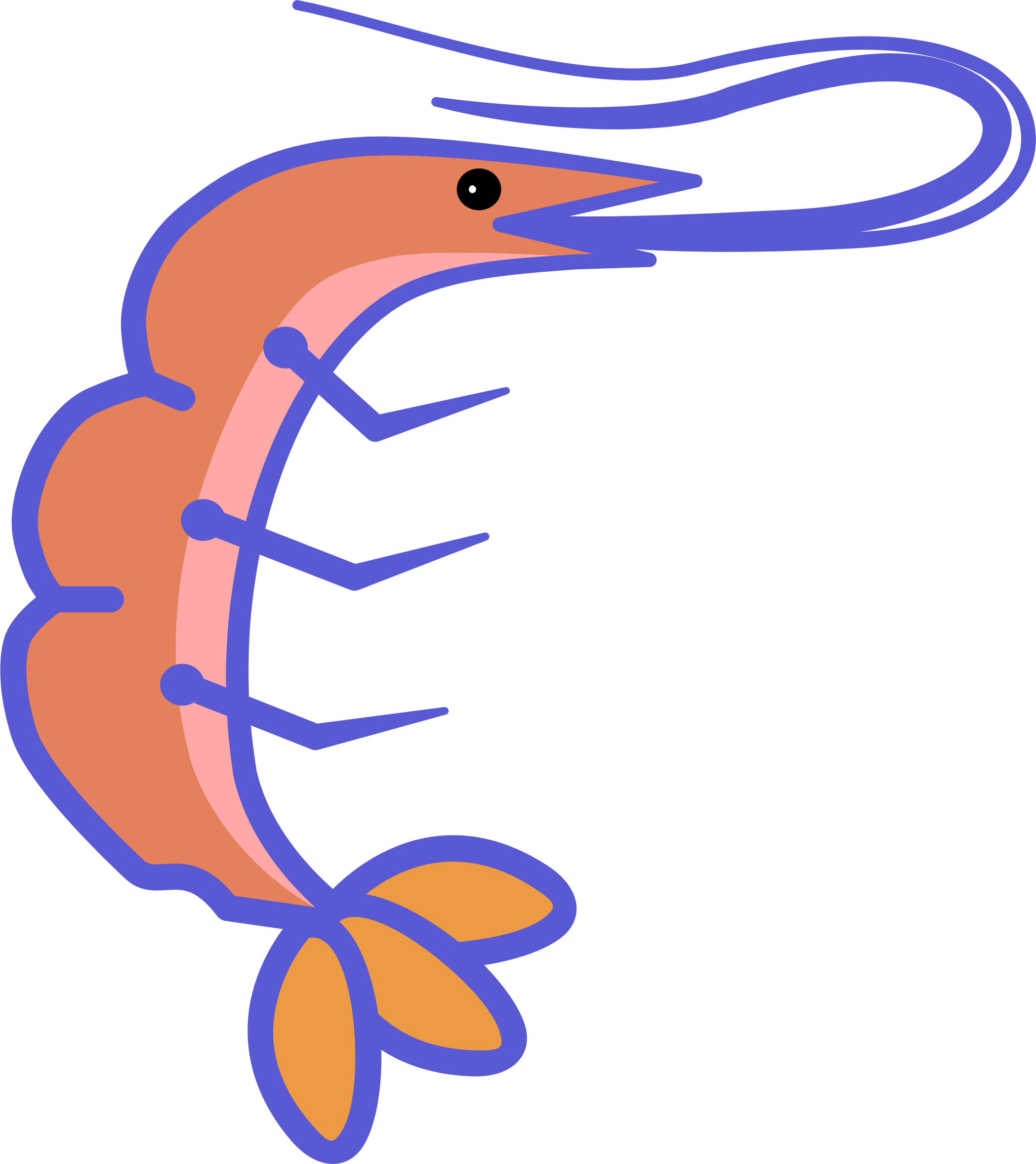 Big Image - Shrimp (2097x2356)
