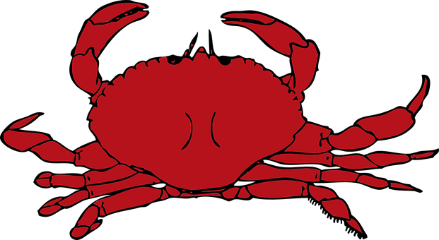 Crab Red Crustaceans Seafood Shell Pincers - Crab Clipart (621x340)