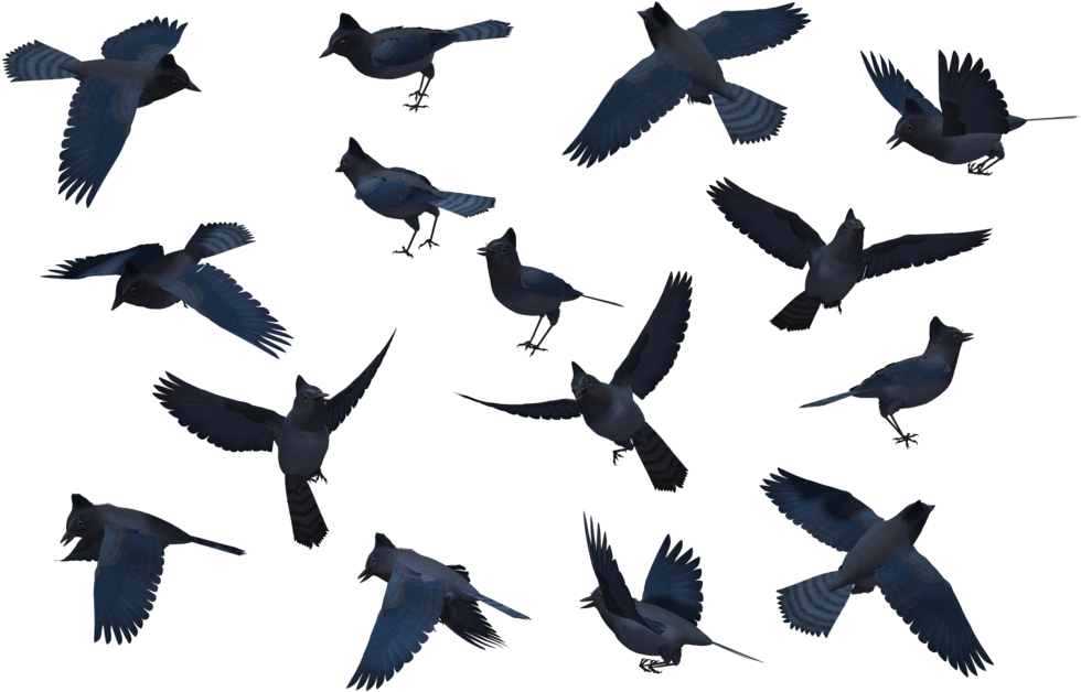 Requested Bird Set - Blue Jay Bird Silhouette (1024x645)