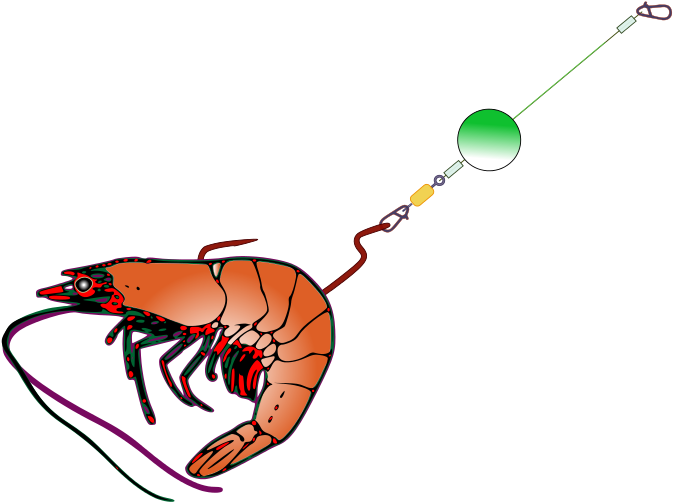 Get Notified Of Exclusive Freebies - Fishing Bait (800x800)