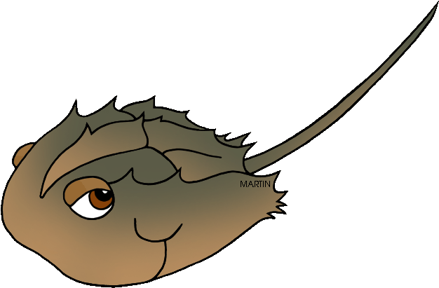 State Marine Animal Of Delaware - Delaware State Marine Animal (648x442)