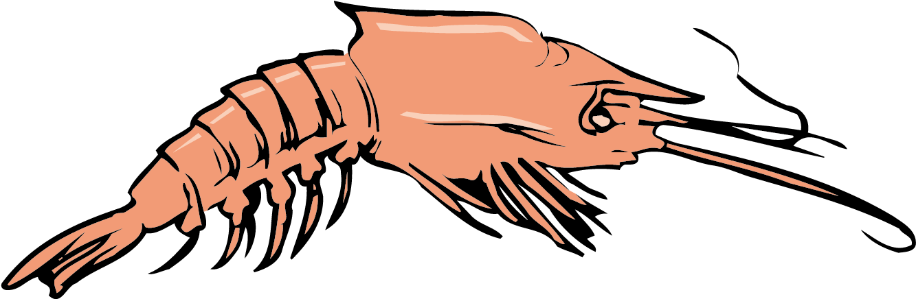 Crab Homarus Euclidean Vector Clip Art - Crab Homarus Euclidean Vector Clip Art (1417x550)