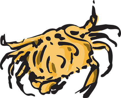 Crab, Shell, Pincers, Crustacean, Crawl - Crab (419x340)
