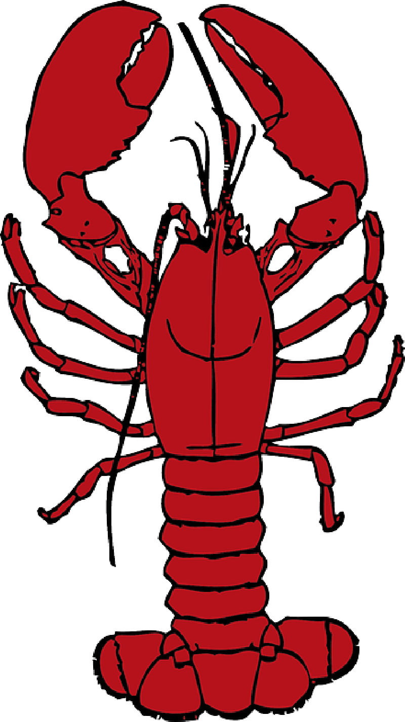 Cartoon, Ocean, Lobster, Crab, Sea, Crustaceans, Hermit - Red Lobster Clip Art (800x1426)