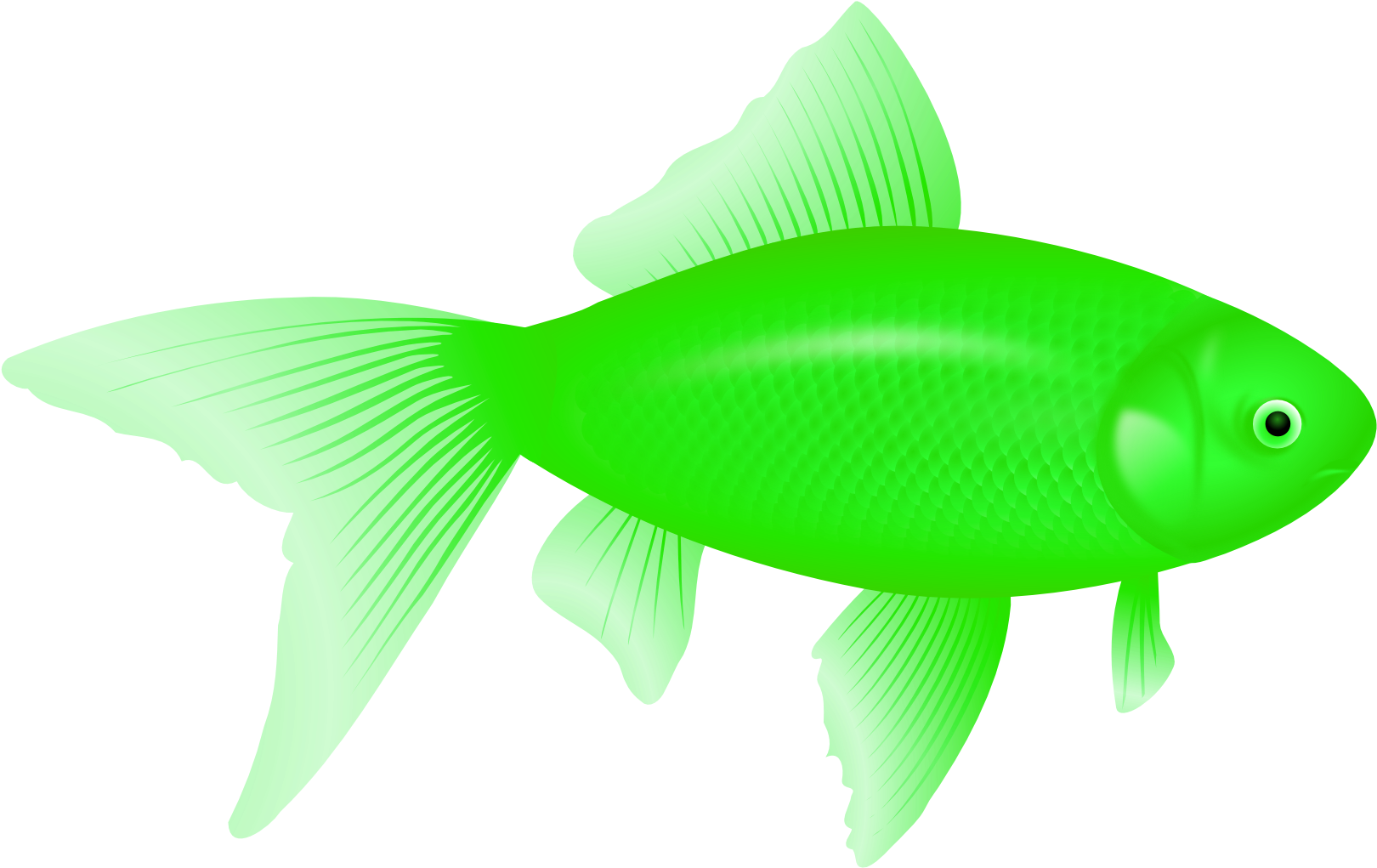 Fins Clipart Green Fish - Fish Png (1969x1307)