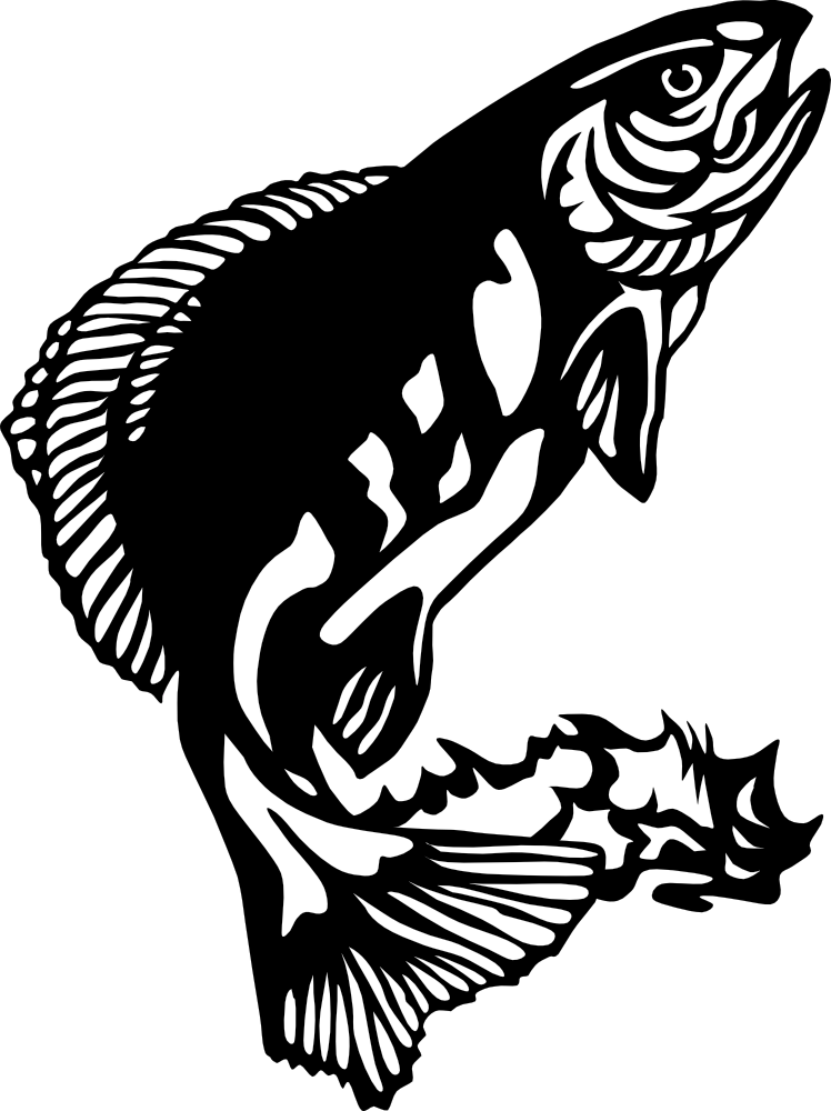 Fish Clip Art (748x1000)