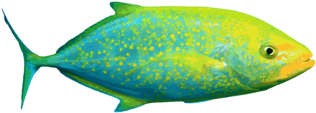 Ocean Fish Live Clipart - Saltwater Fish Clip Art (639x245)