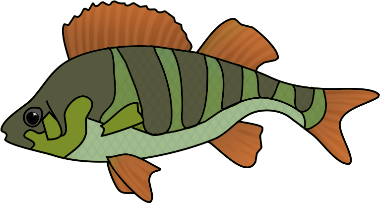 Fish Clip Art - Green And Orange Fish (793x430)