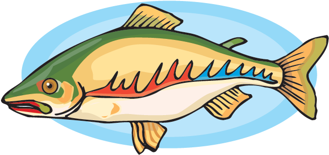 Crinkleroot's 25 Fish Every Child Should Know - Salmon (641x480)