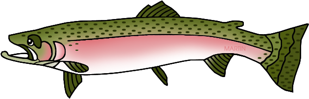 Steelhead Trout - Washington State Fish Clipart (648x219)