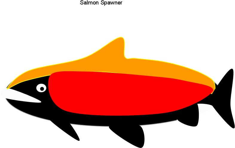 Salmon Spawner - Coho (960x720)