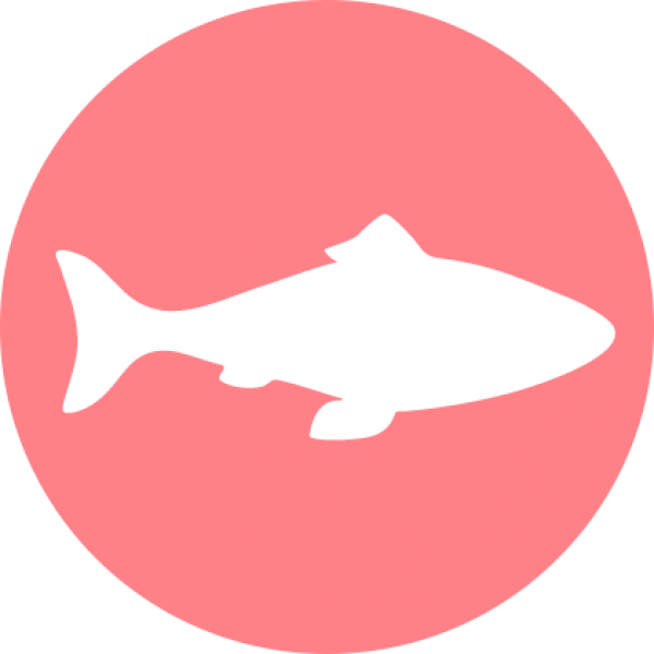 Unlike Most Pet Foods, Halo Uses Real Whole Meat, Poultry, - Whale (600x600)