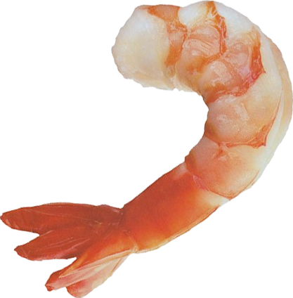 Shrimps Png - Jumbo Shrimp Greeting Cards (pk Of 10) (417x424)