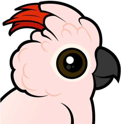 About The Salmon-crested Cockatoo - Liebemoluccancockatoos Grußkarte (440x440)