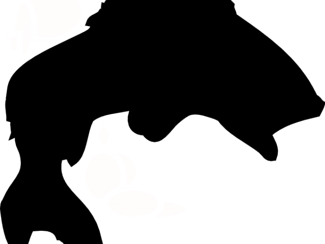 Bass Outline Cliparts - Bass Fish Silhouette (640x480)
