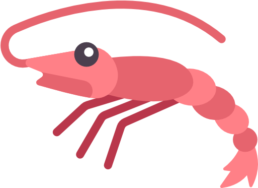 Shrimp Free Icon - Transparent Background Shrimp Clipart (1024x1024)