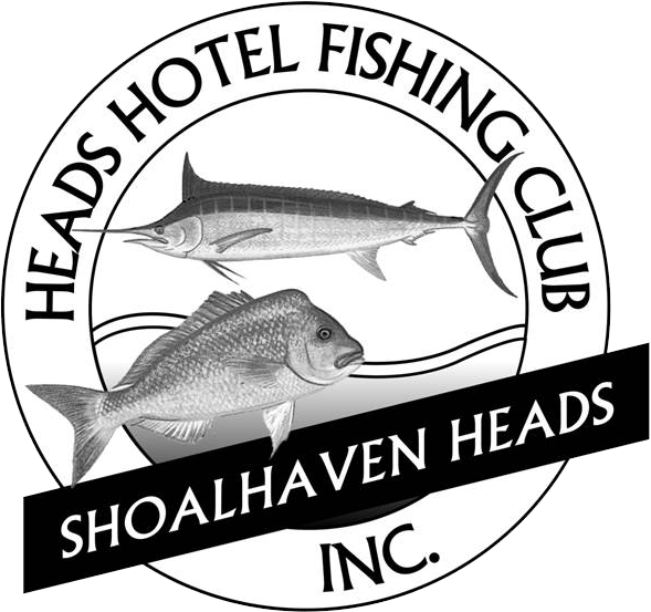 Heads Hotel Fishing Club - Shoalhaven Head Hotel (589x553)