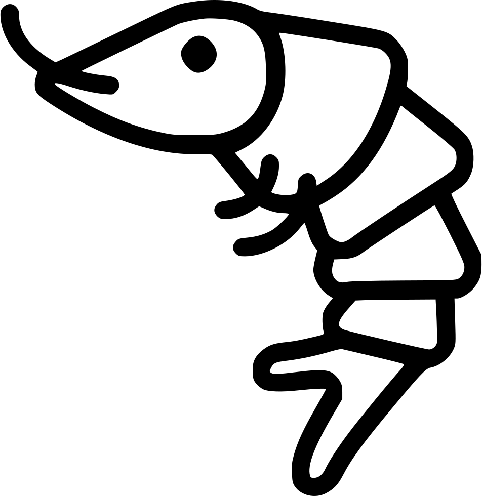 Shrimp Comments - Shrimp Clipart Black And White (952x980)