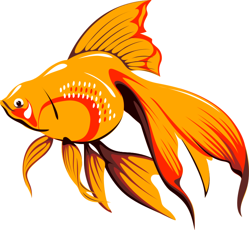 Fish Bait Free Architetto Pescetto - Golden Fish Clipart (810x750)