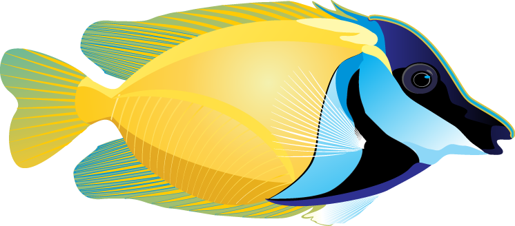Realistic Fish Clipart - Stickers Poisson Ocean 3 (746x328)